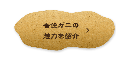 香住ガニの魅力を紹介