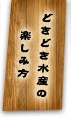 どきどき水産の楽しみ方