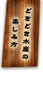 どきどき水産の楽しみ方