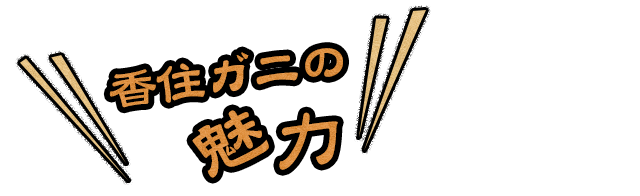 香住ガニの 魅力