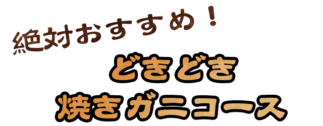 絶対おすすめ！どきどきコース